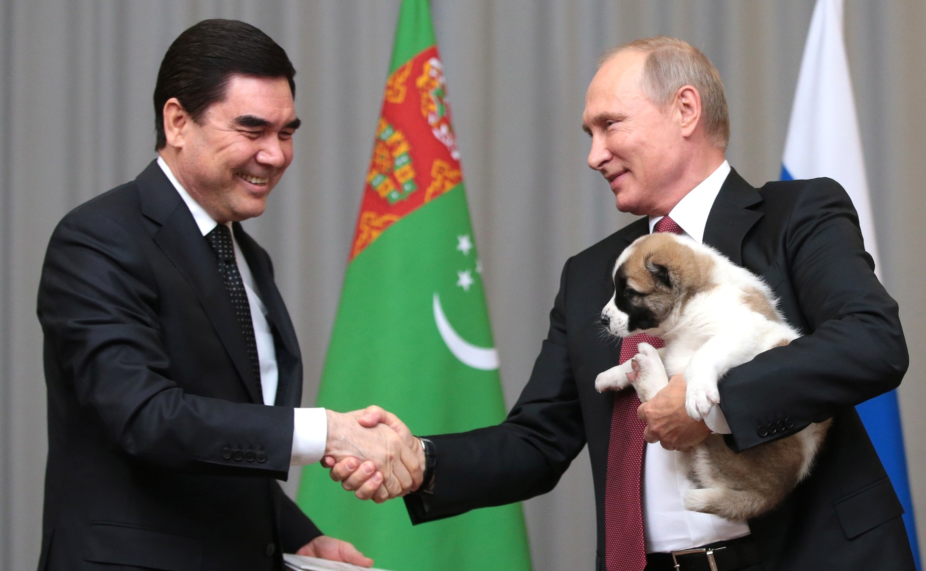 Giống chó này còn là thú cưng của tổng thống Nga