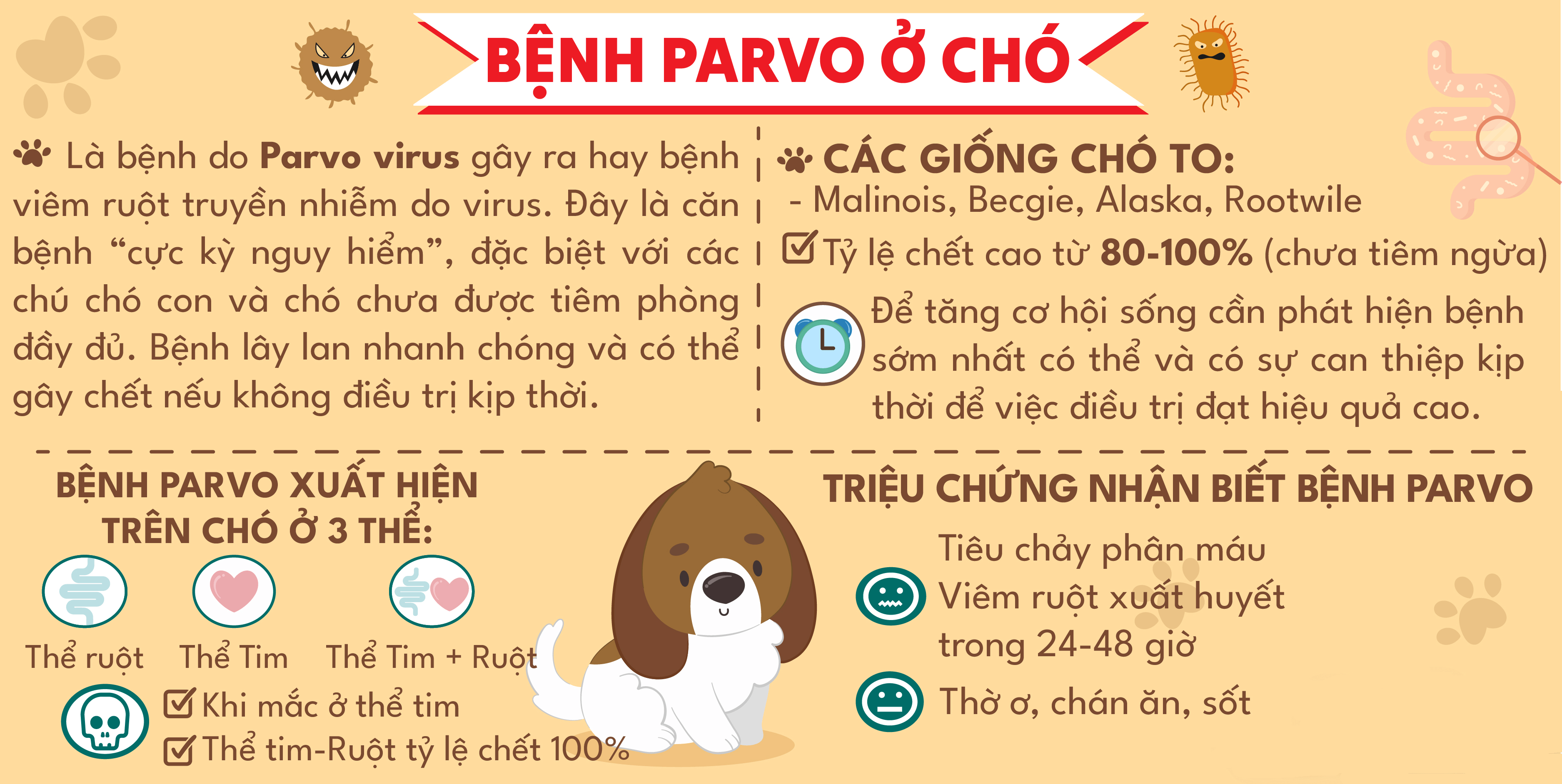 Bẳng tóm tắt về bệnh Parvo ở chó