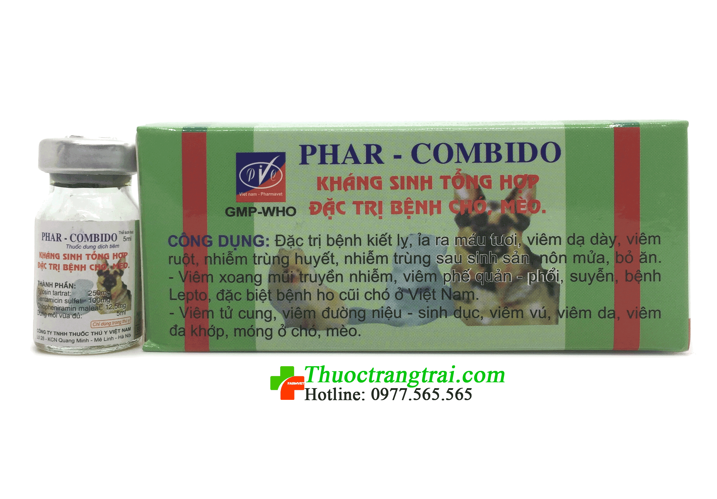 Thuốc kháng sinh tổng hợp Phar- Combido được bác sĩ thú y khuyên dùng