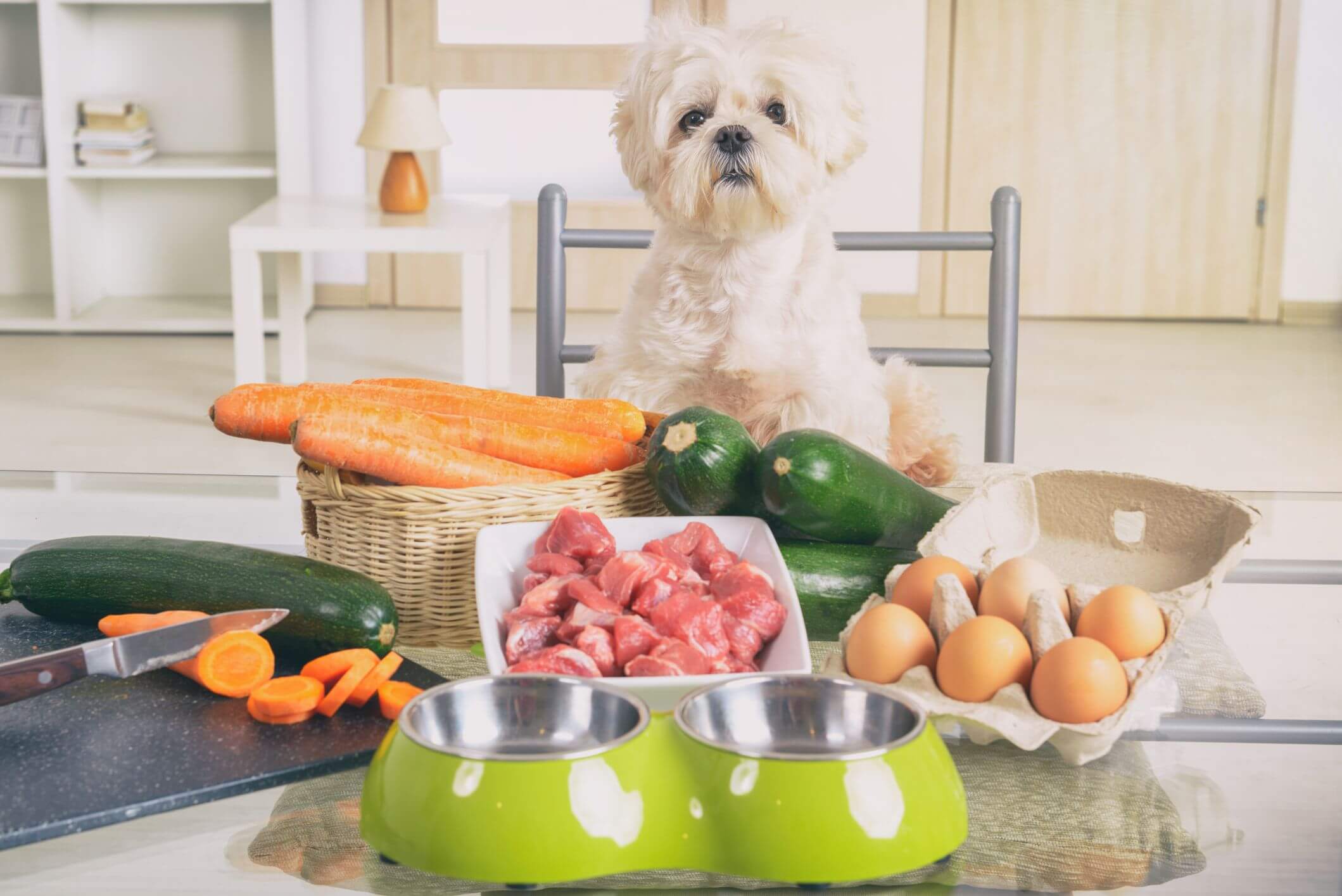 Cho chó ăn nhiều món ăn có nhiều vitamin để phục hồi sức khỏe